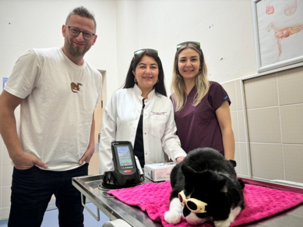 OMÜ Hayvan Hastanesinde Düşük Doz Lazer Tedavi Hizmeti Başladı!