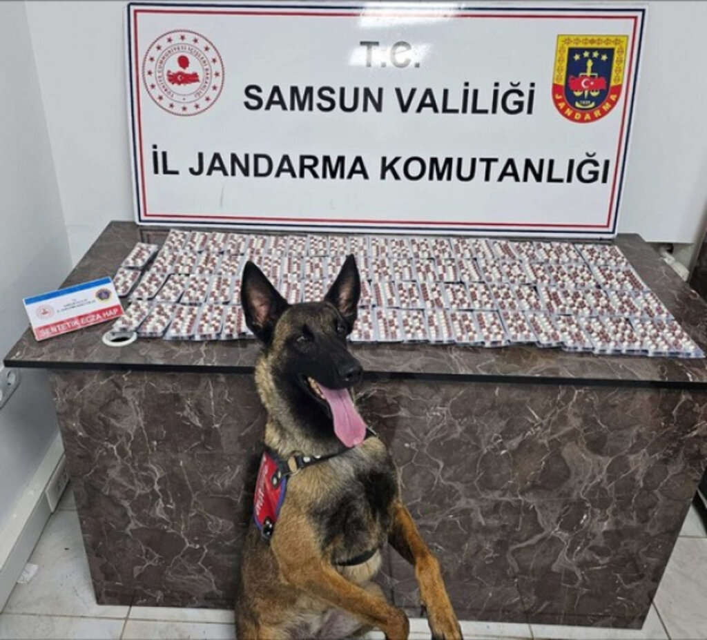Aranan Bin 261 Şahıs Samsun'da Yakalandı!