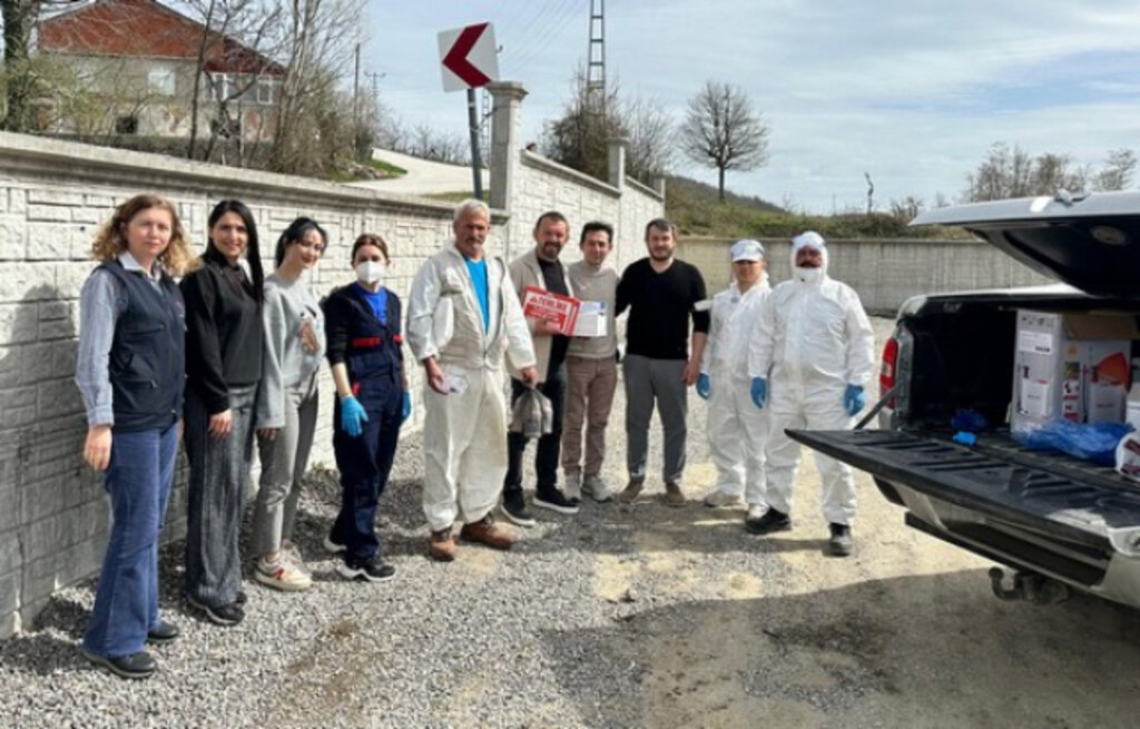 Atakum Belediyesi Kokarca Böceği İle Mücadele Çalışmalarına Son Hız Devam Ediyor!