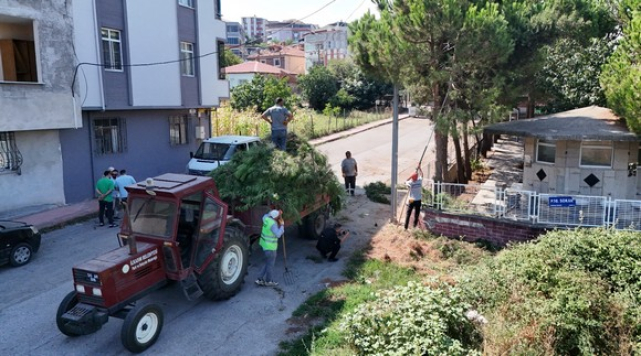 İlkadım’ın Parklarına Estetik Dokunuş!