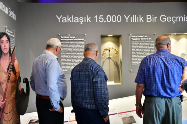 Büyükşehir’den Samsun’un Yaşlı Çınarlarına Ücretsiz Yaz Kampı!