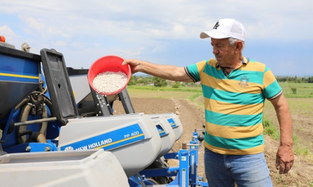 Ladik Fasulyesi Büyükşehir Güvencesinde!
