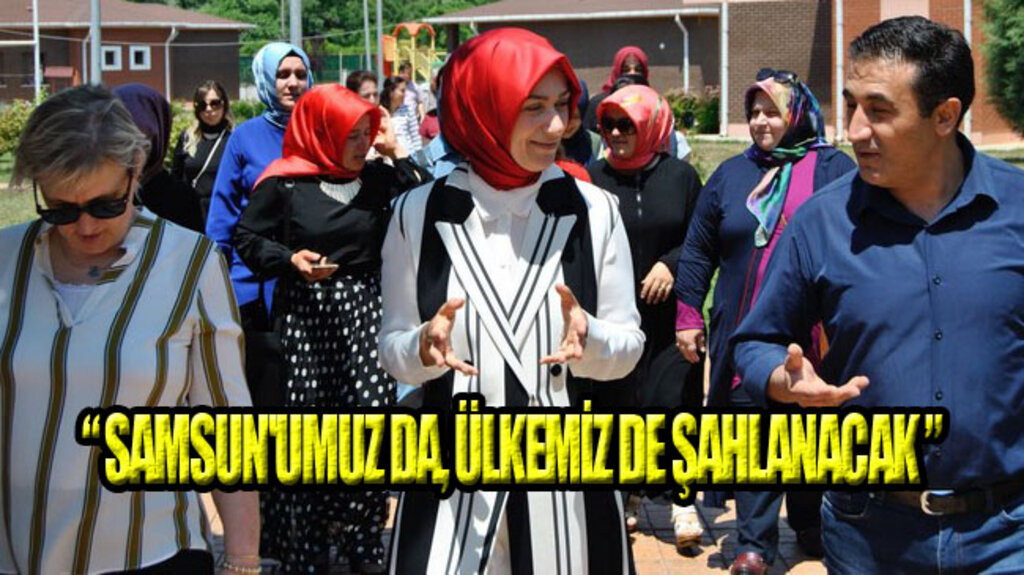 Milletvekili Adayı Bilgin, İlçe İlçe Destek İstiyor!
