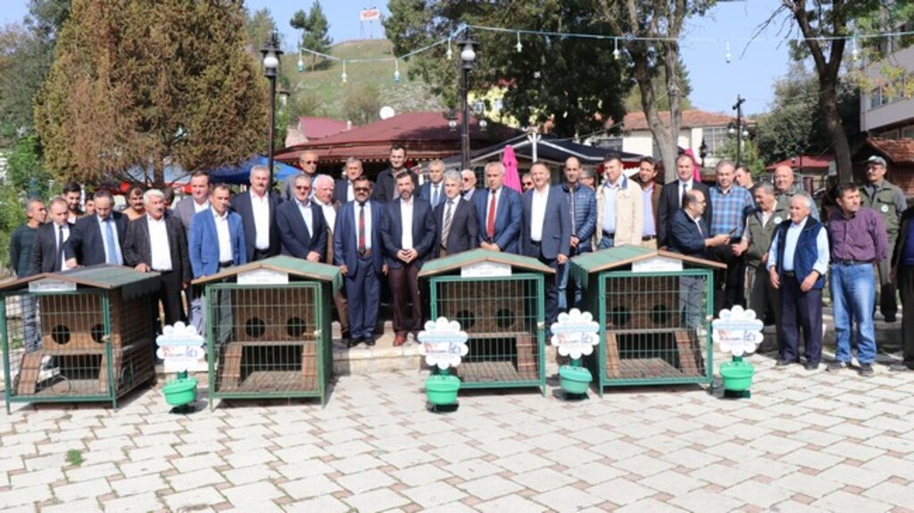 Kavak’ta Kedilere Tripleks Villa!