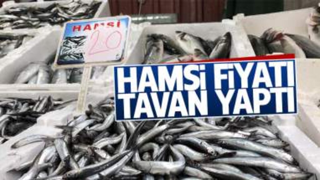 Hamsinin Fiyatını Deniz Suyu Belirliyor!