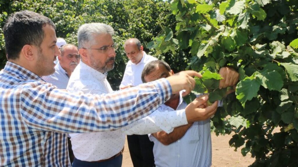Başkan Aksu Fındık Üreticileri İle Buluştu!