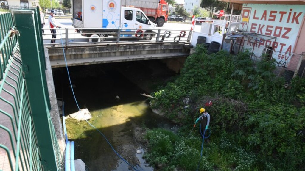 Samsun Büyükşehir Belediyesi’nden ‘Larva’ Temizliği!