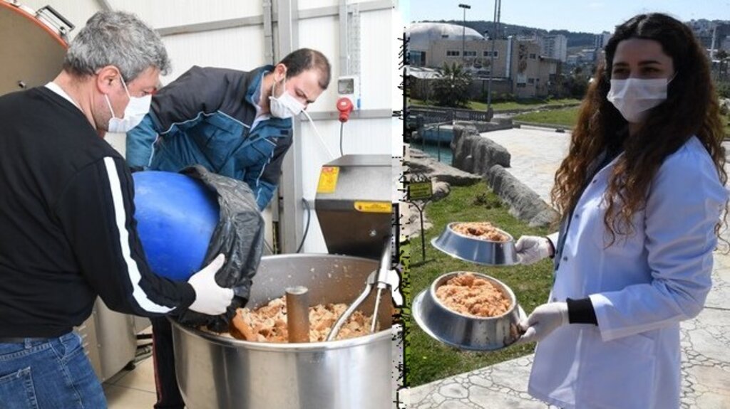 Samsun'da Sokak Hayvanlarına 47 Ton Mama Dağıtıldı!