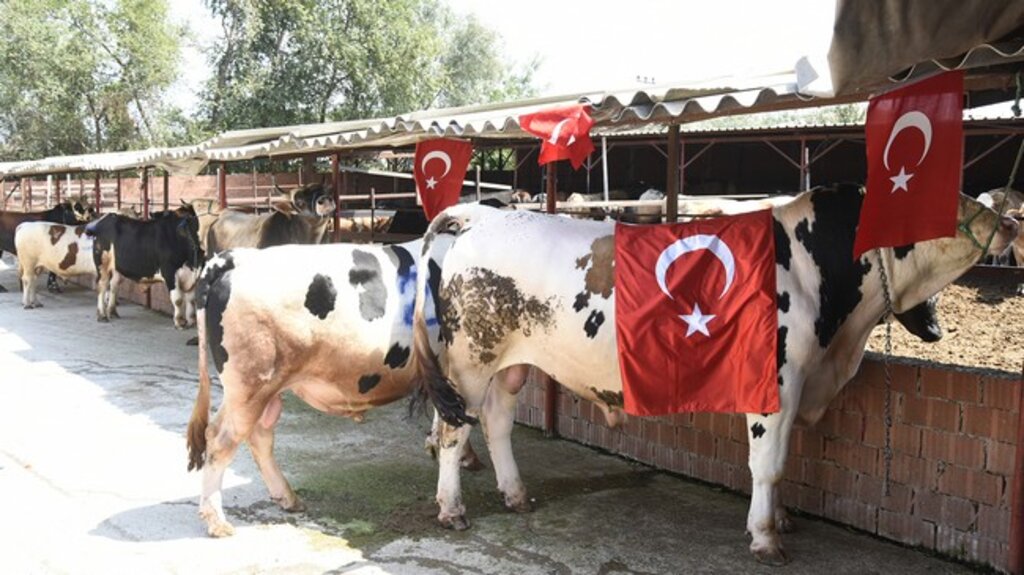 Tekkeköy’de Her Şehit İçin Bir Kurban Kesilecek!