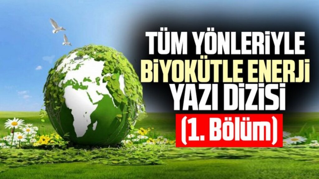 Tüm Yönleriyle Biyokütle Enerji Yazı Dizisi (1. Bölüm) 
