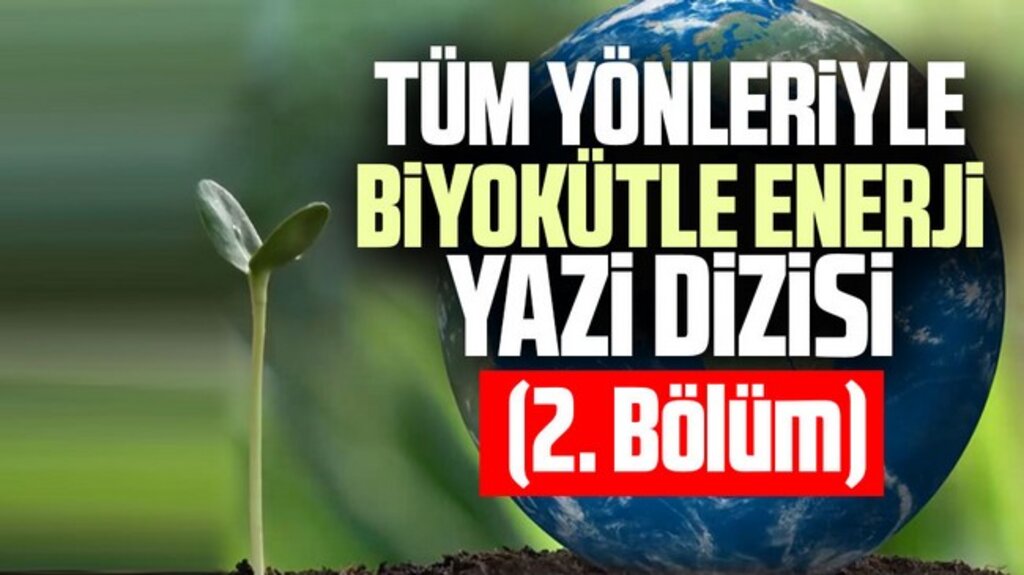 Tüm Yönleriyle Biyokütle Enerji Yazı Dizisi – 2. Bölüm