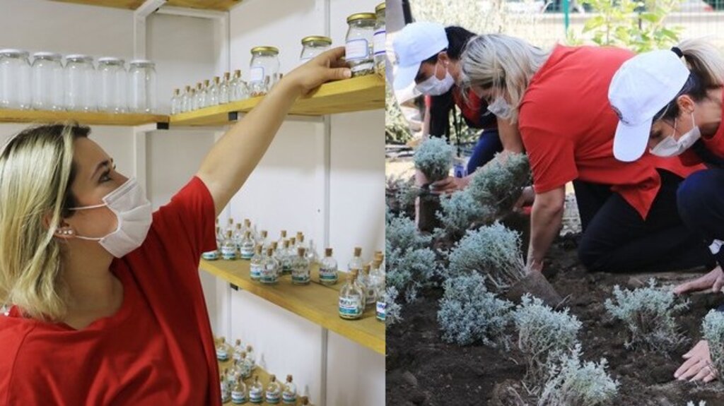 Karadeniz’in İlk Tohum Merkezi Atatohum’da İlk Sezon Hasadı Yapıldı!