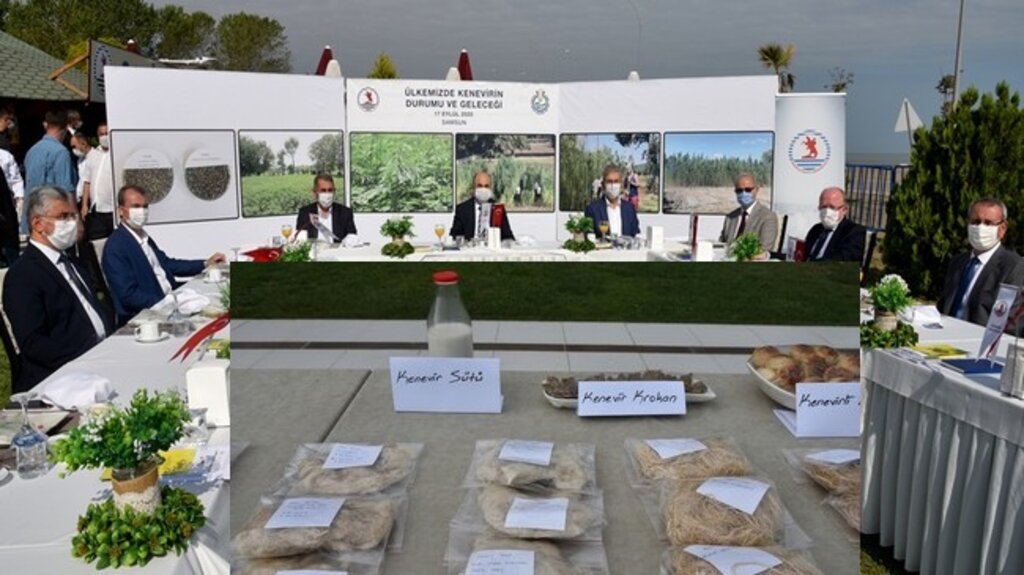 Kenevir Endüstrisi OMÜ’de Masaya Yatırıldı!