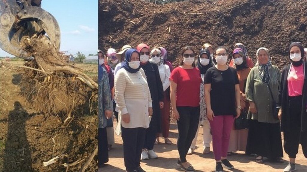 Samsun’da Tarımsal Atıklar Toplanıyor, Çiftçiler Kazanıyor!