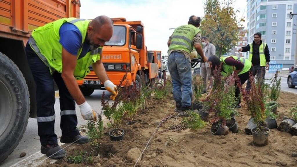 Kış Peyzajıyla Samsun Rengarenk Olacak!