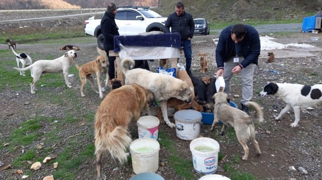 Sokaktaki Dostlarımız Unutulmadı!