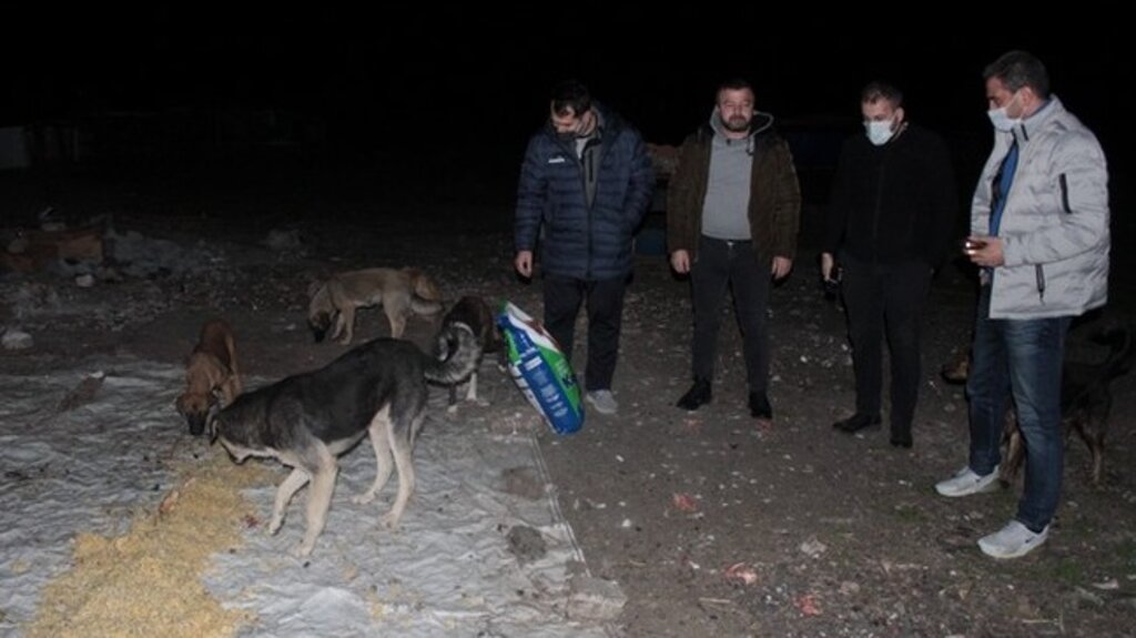 Yeni Yıla Can Dostlarla Girdiler!