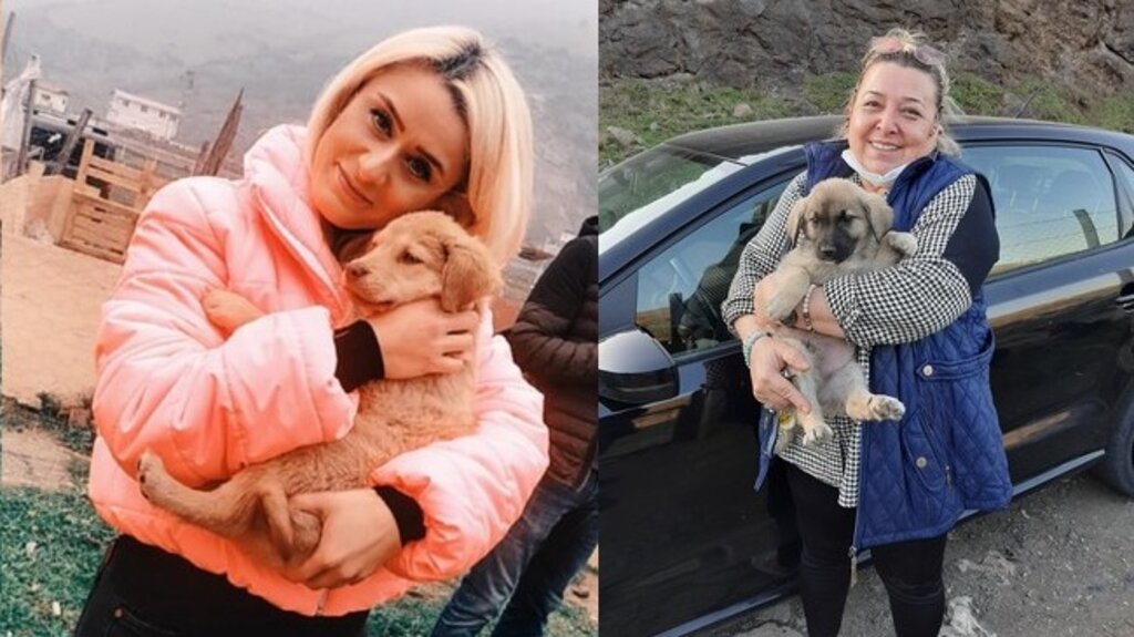 Can Dostları Sahiplendiriyorlar!
