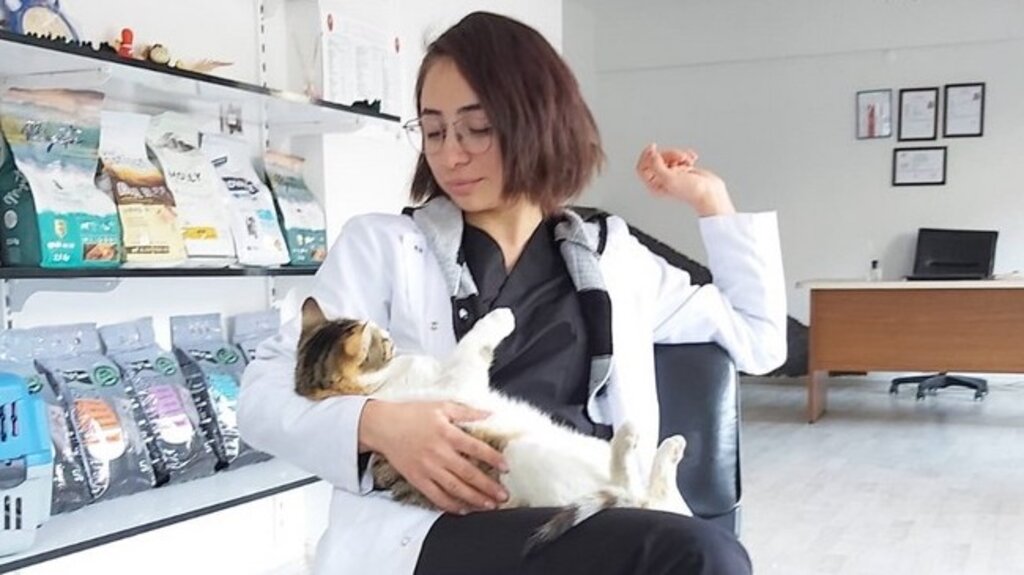 Bakamayacağınız Hayvanın Günahına Girmeyin!