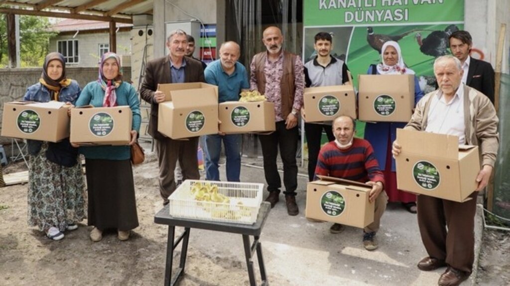 Çarşamba’da İlk Kazlar Sahibine Teslim Edildi!