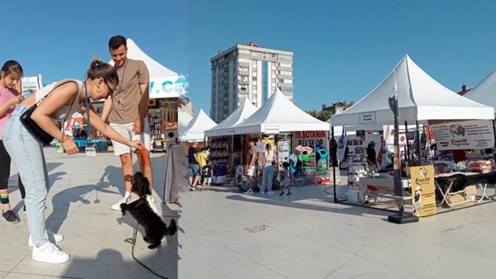Sokak Hayvanları İçin Samsun'da Buluştular!