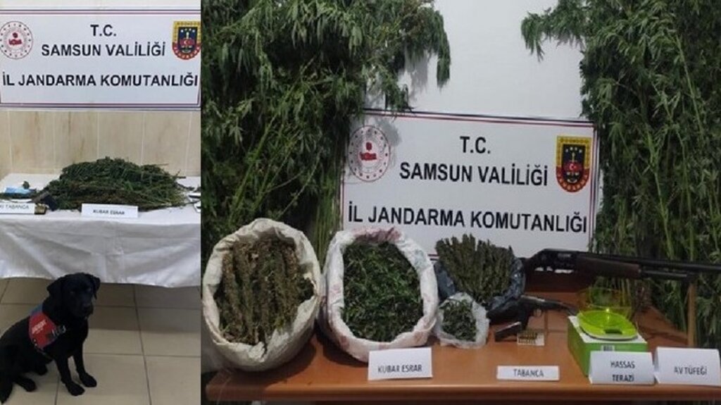 Samsun’daki Uyuşturucu Operasyonlarında 29 Gözaltı!