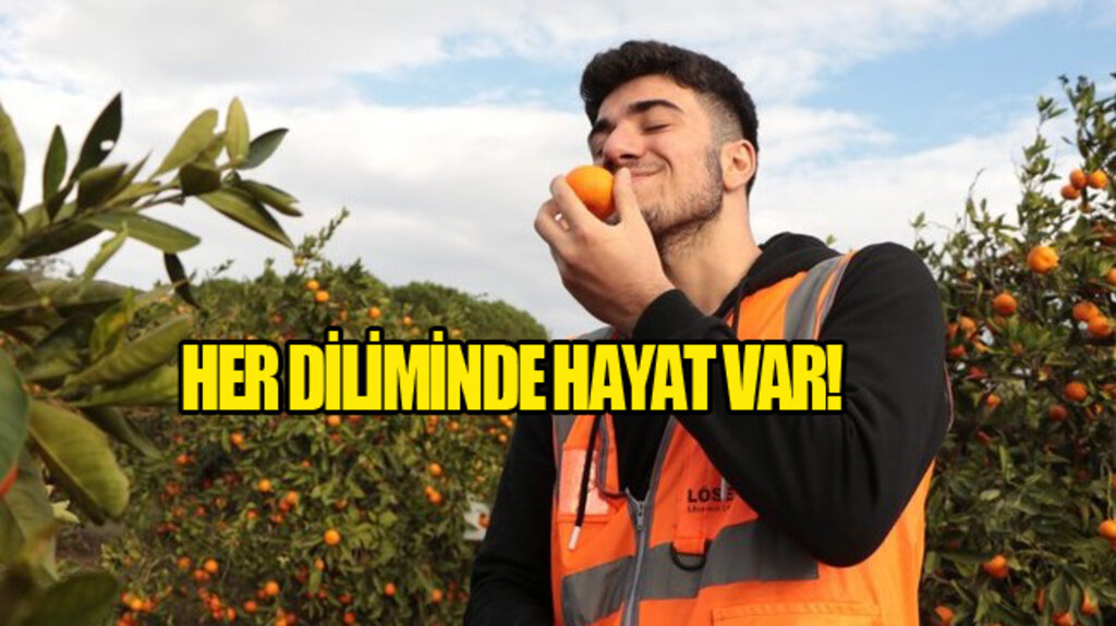 LÖSEV Satsuma Mandalinası Satışı Başladı!