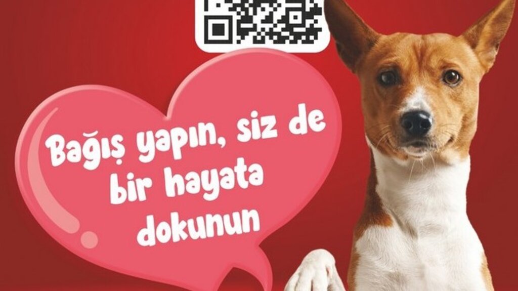 Can dostlar İçin Samsun’da Bağış Kampanyası Başlatıldı!