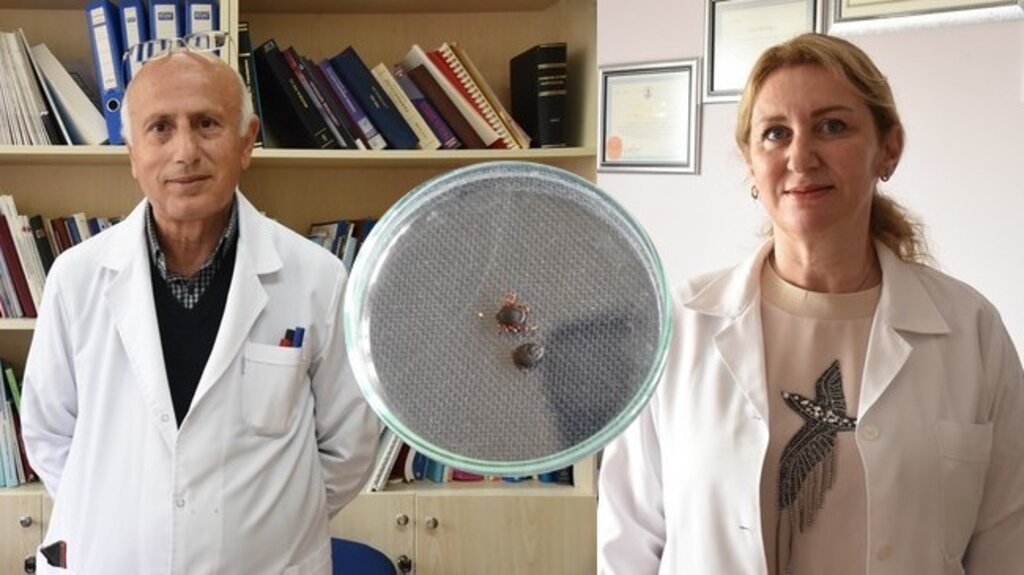 OMÜ’lü Doktorlardan Kırım Kongo Hastalığı Uyarısı!