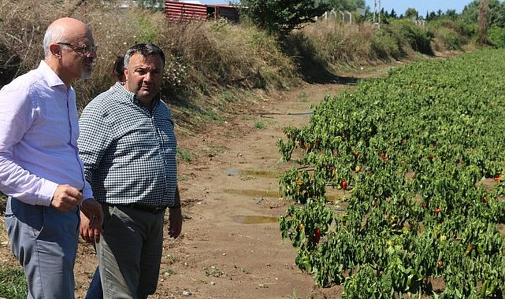 CHP’den Sel Mağduru Bafralı Üreticiye Destek! 