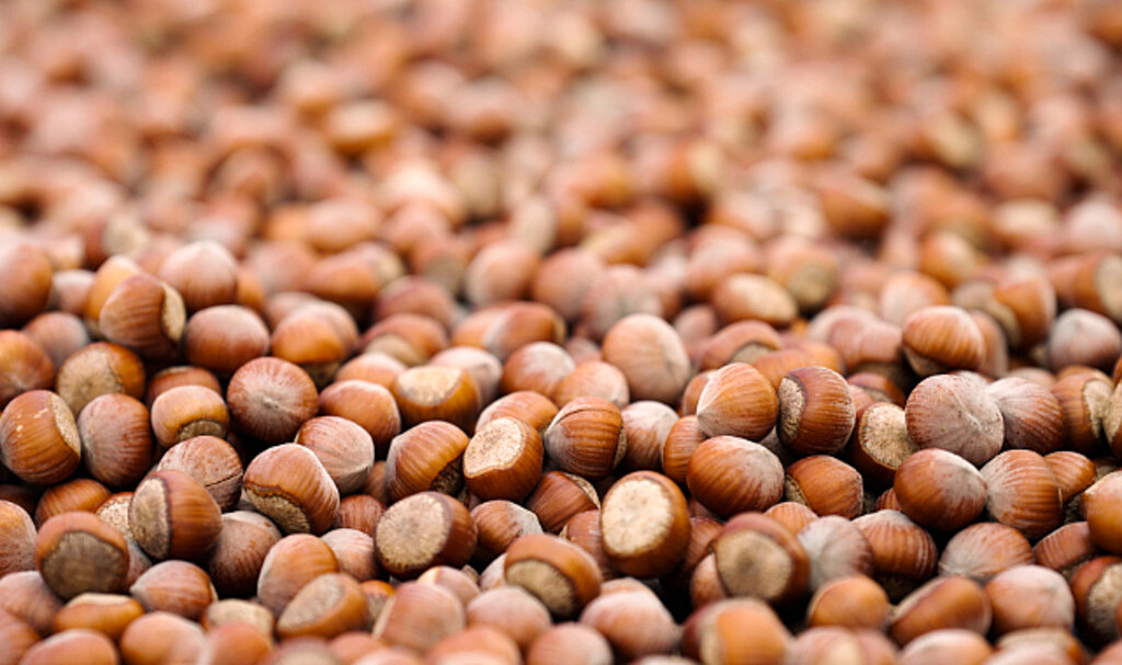 Ferrero, Sürdürülebilir Fındık İçin Kaydettiği Güçlü  İlerlemeyi Ve Yeni Dönem Hedeflerini Açıkladı! 