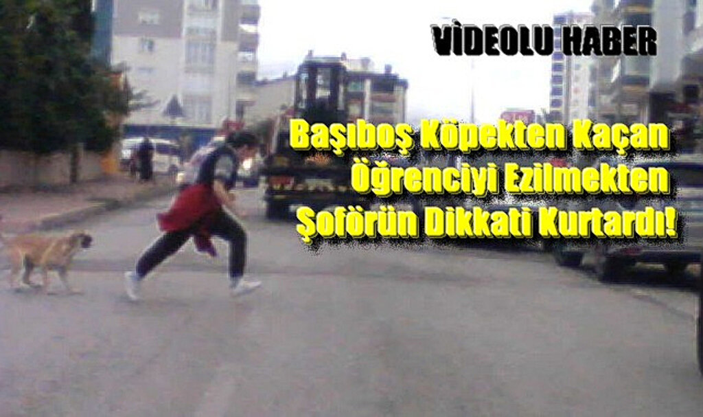 Başıboş Köpekten Kaçan Öğrenciyi Ezilmekten Şoförün Dikkati Kurtardı!