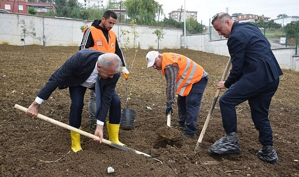 Atakum’daki Okullarda Meyve Ağaçları Yetiştirilecek!
