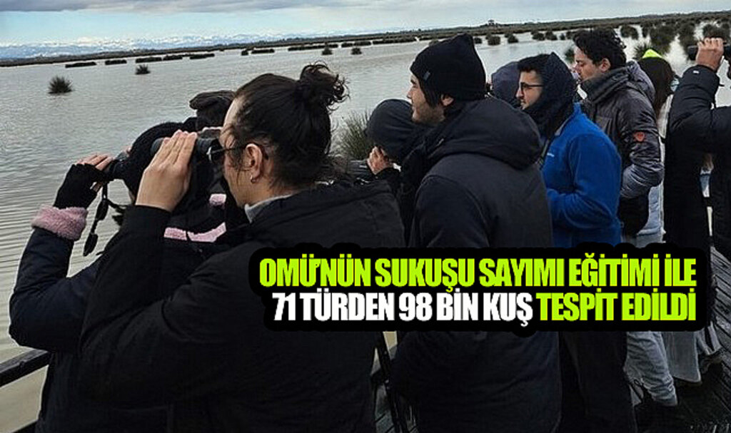 OMÜ’nün Sukuşu Sayımı Eğitimi İle 71 Türden 98 Bin Kuş Tespit Edildi!