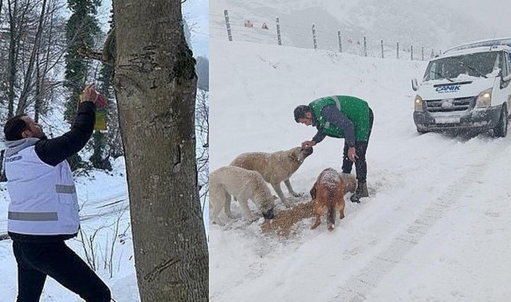 Can Dostların İmdadına Canik Belediyesi Koştu!