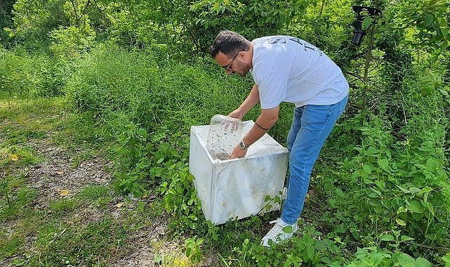Samsun’da 1 Milyonun Üzerinde Samuray Arısı Doğaya Salındı!