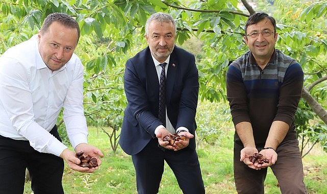 Nebiyan Markalaşma Yolunda!
