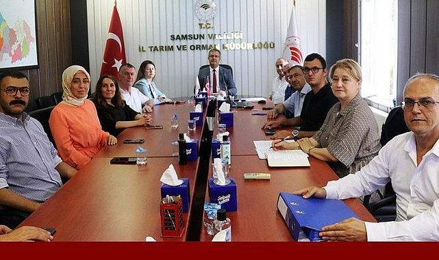 Samsun İçin 2026 Yılı Fındık Rekolte Tahmini Çalışmaları Tamamlandı!